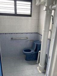 Blk 306 Clementi Meadows (Clementi), HDB 3 Rooms #626389211